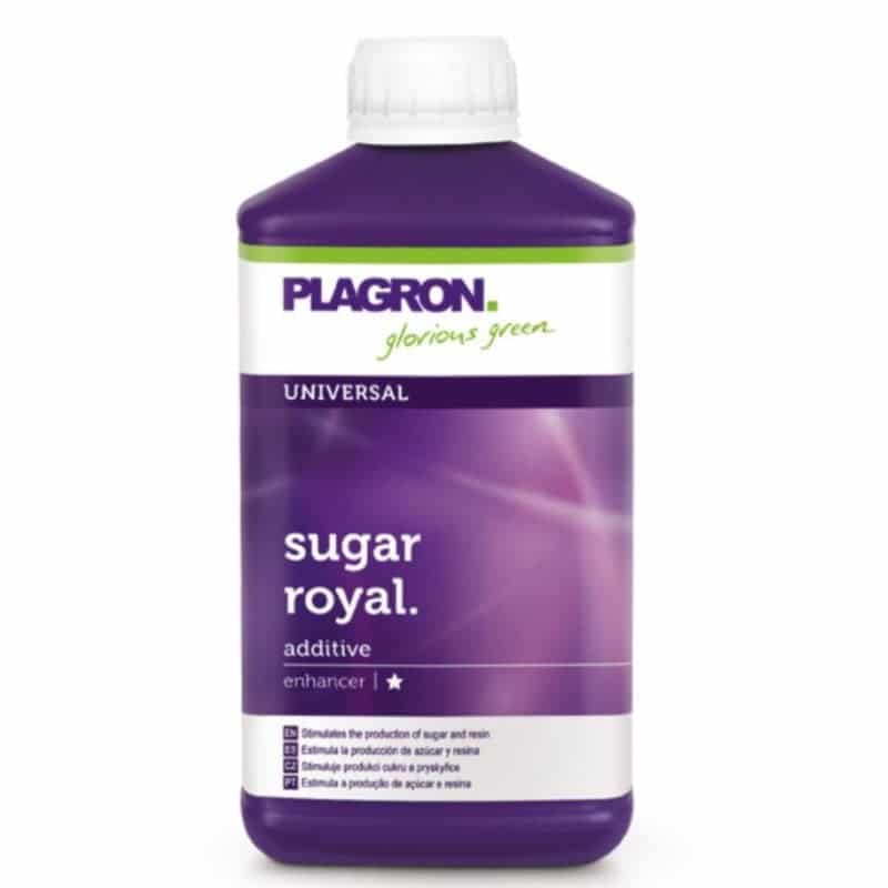 Sugar Royal de Plagron: Fortalece el desarrollo floral y la producción de azúcar de tus plantas con este potente suplemento.