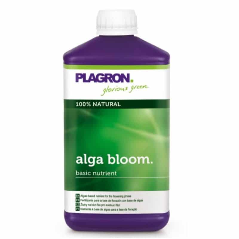 Alga Bloom de Plagron: Estimula una floración exuberante y altos rendimientos con este fertilizante orgánico a base de algas.