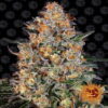 Bubba Kush - Una popular y potente variedad de cannabis con propiedades relajantes. Disfruta de la experiencia característica de Bubba Kush con esta variedad de alta calidad.